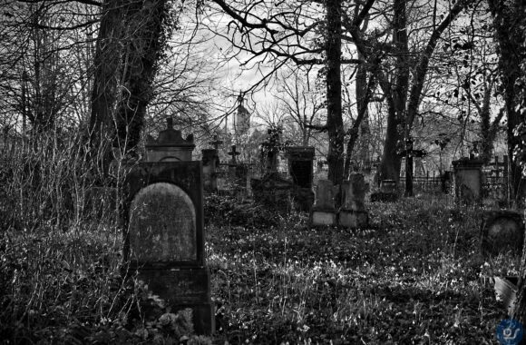 Kommunaler Friedhof-Brody-Polen-2024